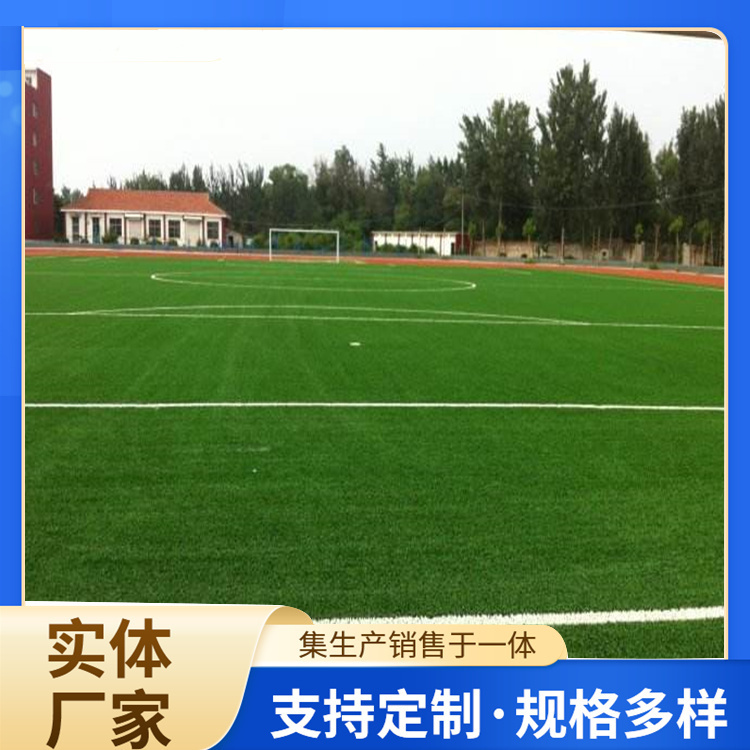 承德市塑胶篮球场人造草坪 - 价格